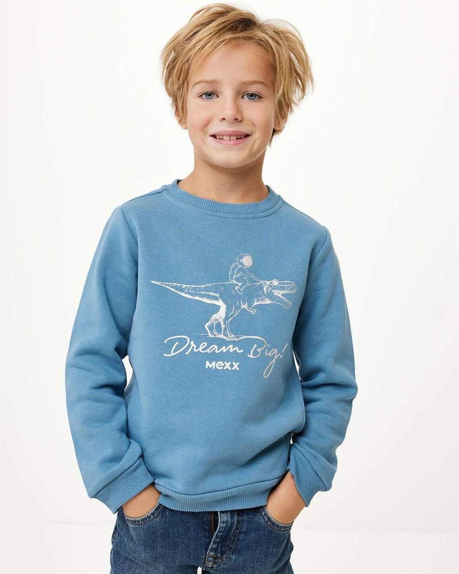 Mexx Crewneck with artwork Mid Blue Niebieskie | XQDOG1974